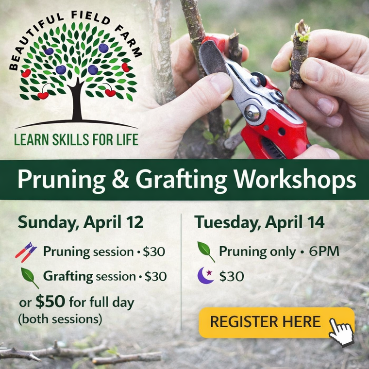 Pruning and Grafting workshop! April 12th, 2026.