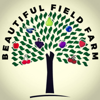 Beautiful Field Farm and Fruit Trees