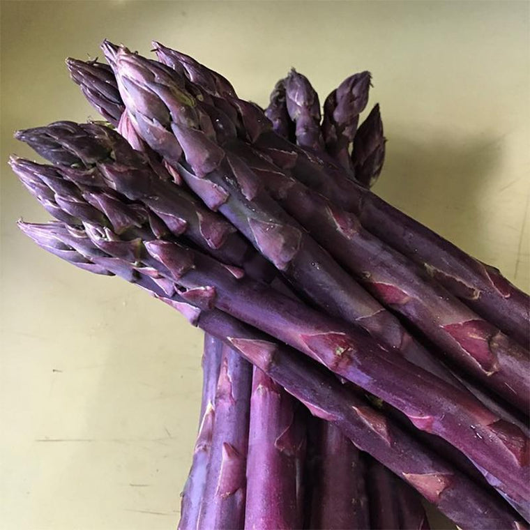 Asparagus - Sweet Purple